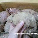 상마농장 이미지