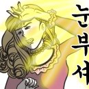 살롱드쉬