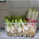 댕강댕강 이미지