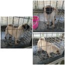 발안파출소 이미지