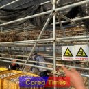 단양군 농업기술센터 이미지