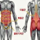 고짐 이미지