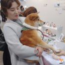 케이심바이오