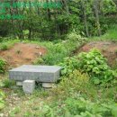 대진보건진료소 이미지