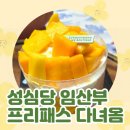 탐찬 | 드디어 나도 가봄! 성심당 임산부 프리패스🥐✨/ 맘 편한 코레일 결국 못 탐🥲
