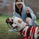 멍나들이 이미지