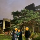 거제-연초-연초-비상-09 | 2025. 10. 09. 목