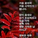 11월 21일(끝말잇기) 올려봄니다요 이미지