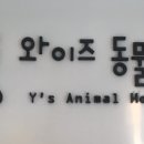 와이즈 동물병원 이미지