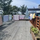 솔향민박 이미지