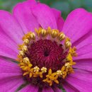 2025년 9월 7일 교회소식 이미지