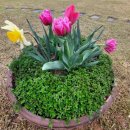 꼼지의 작은세상 이미지