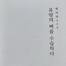 박미라 산문집/ 『유랑의 뼈를 수습하다(시와문화)』 이미지