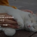유어캣 고양이병원 이미지