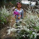 고향에봄 이미지