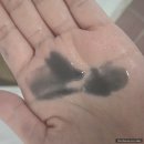 라쉼 | [라쉼] 라쉼 LHA 딥 클렌징 펌핑밤 후기 :: 딥 클렌징 추천