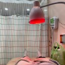 안산의료복지사회적협동조합 새안산한의원 이미지