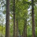 하늘공원(하부) 이미지