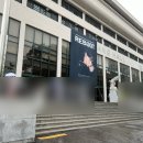러브 오브 마이라이프 | 2024 엘(김명수) 아시아 투어 팬미팅 &#39;REBOOT&#39; 서울 막공 후기