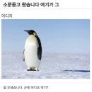 한강스마일유통 | 2 - 4월