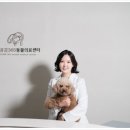 진접동물병원 이미지