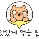 월드피시 이미지