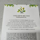 질경이즙 관절케어 질경이차 후기