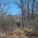 해가지는마을길 이미지