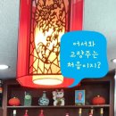 차이나홍 티스토리