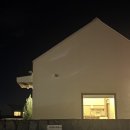 고양이 수염 | [제주도] 제주도 독채 숙소 힐링 여행 컨셉 에어비엔비 감성 숙소 고양이수염 내돈내산 대만족 후기