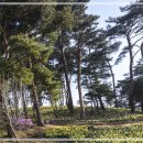 일상에서 실천하는 마음챙김 명상 이미지