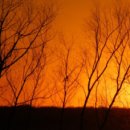 머물다가 이미지