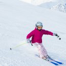 타잔비엔지 이미지