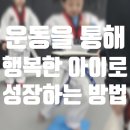 스타 익스트림 태권도 이미지