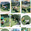 더 예쁘개 이미지