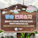 송연오리 | 의왕핫플 l 왕송연꽃습지 가을 선선한 바람을 맞으며 산책하기 좋은 풍경맛집
