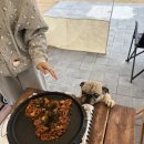 까사드만수 이미지