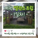 차향마을 | [프로그램] 예천 생텀마을 밸런스 트립 1일차 후기