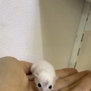 서산아크릴