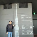 제펜고고