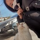 ❤강릉 진또배기마을)김우정초당순두부 다녀온 후기