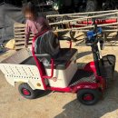 해테크 예천6호 | 경북 예천 전동운반차 시브코리아 작업반장 납품 후기 어르신전동운반차 노인전동차