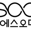 에스글로벌플러스