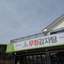 무청감자탕삼척점 이미지