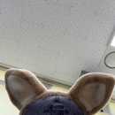 이효재만두 이미지