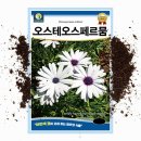뭄