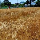 강화섬공인중개사사무소 이미지