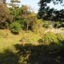 정안면사무소3 이미지