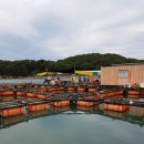 인어좌대 이미지