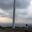 영암유진 이미지